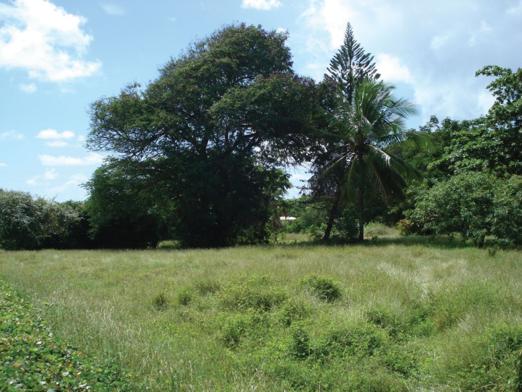 Rockley Cane Garden Land Christ Church bedrooms Land for sale at Barbados Property Search