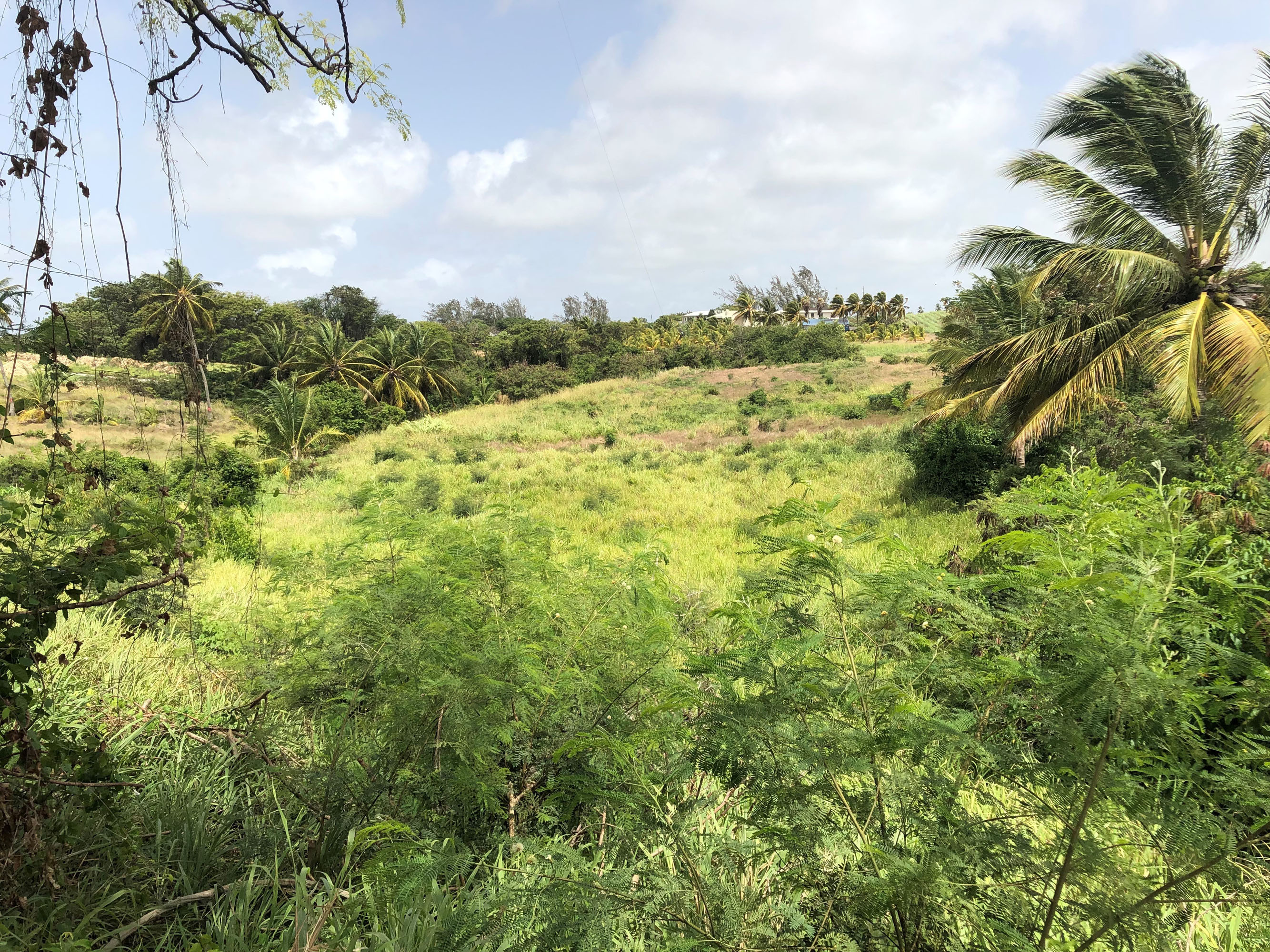 Clifden Tenantry 21C, St. Philip, Barbados Saint Philip bedrooms