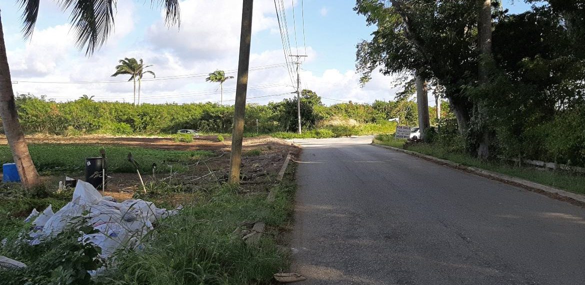 Agricultural Land Ashford, St. John Saint John bedrooms Land for