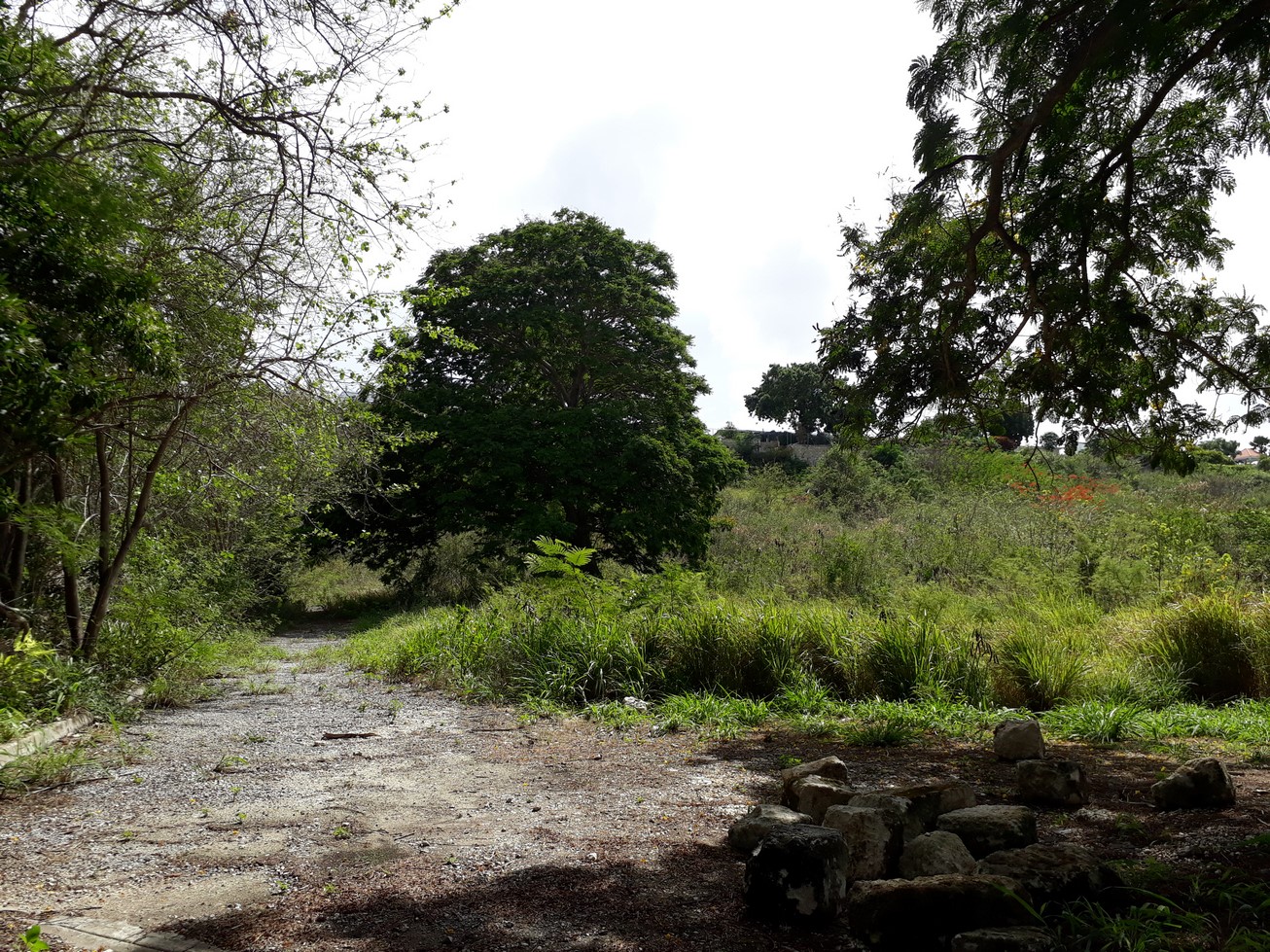 Rockley New Rd. (Little Lane) Christ Church bedrooms Land for sale at Barbados Property Search