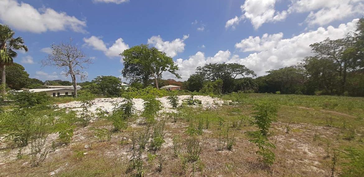 Welches, St. Michael Saint Michael bedrooms Land for sale at